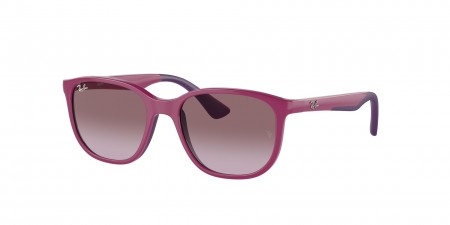 RJ9078SF Sunglasses