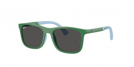 RJ9084SF Sunglasses