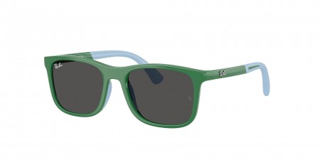 RJ9084S Sunglasses
