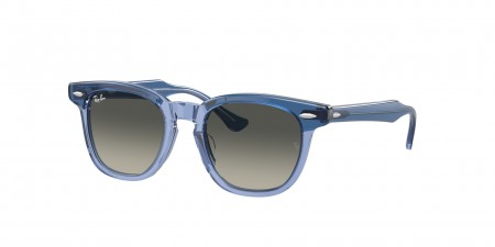 RJ9098SF Sunglasses