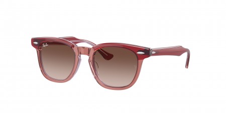 RJ9098S Sunglasses