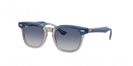 RJ9098S Sunglasses