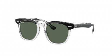 RJ9098S Sunglasses