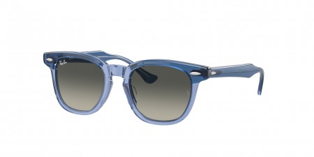 RJ9098S Sunglasses