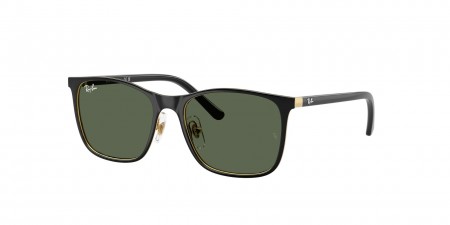 RJ9551S Sunglasses