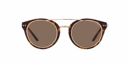 RL8210 Sunglasses