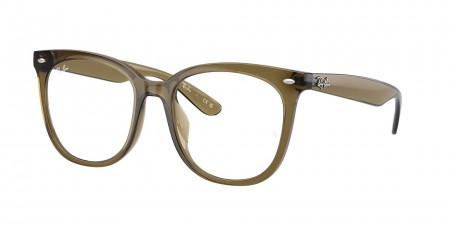 RX4379VD Eyeglasses