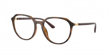 RX4415VL Eyeglasses