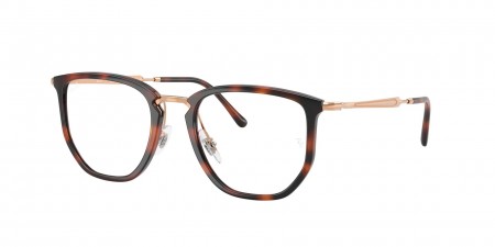 RX4451V Eyeglasses