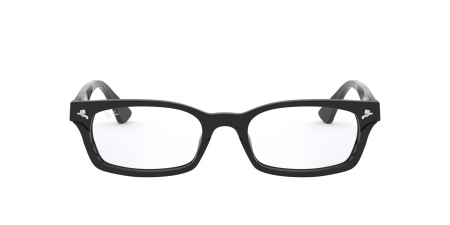 RX5017A Eyeglasses