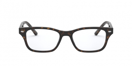 RX5345D Eyeglasses