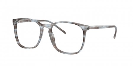 RX5387 Eyeglasses