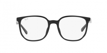 RX5411D Eyeglasses