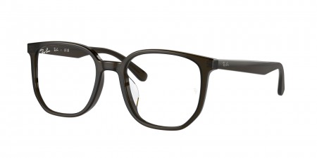 RX5411D Eyeglasses
