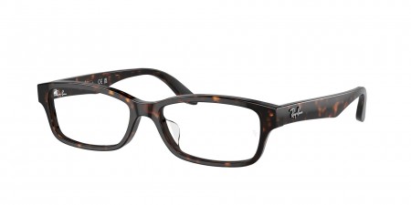 RX5415D Eyeglasses