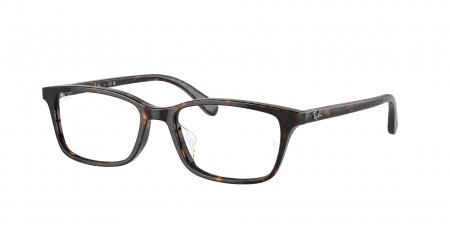 RX5416D Eyeglasses