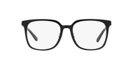 RX5419D Eyeglasses