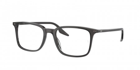 RX5421F Eyeglasses
