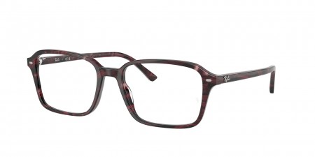 RX5431F Raimond Eyeglasses