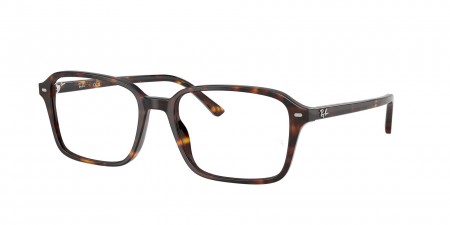 RX5431 Raimond Eyeglasses
