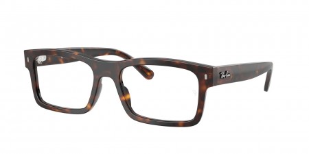 RX5435F Eyeglasses