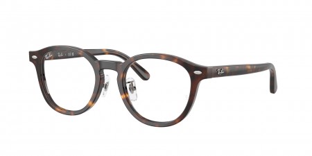 RX5443D Eyeglasses