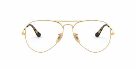 RX6489 Aviator Eyeglasses