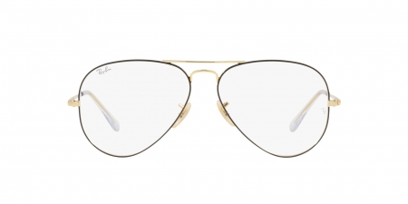 RX6489 Aviator Eyeglasses