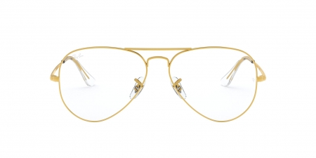 RX6489 Aviator Eyeglasses