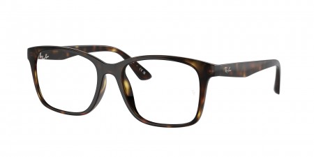 RX7059D Eyeglasses