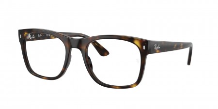 RX7228 Eyeglasses