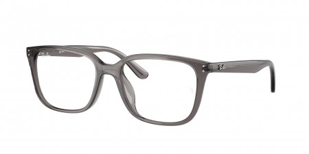 RX7248D Eyeglasses