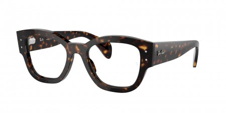 RX7681V Jorge Eyeglasses
