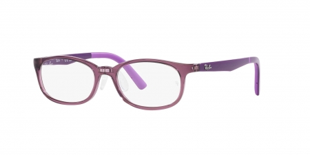 RY1613D Eyeglasses