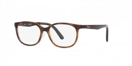 RY1614D Eyeglasses