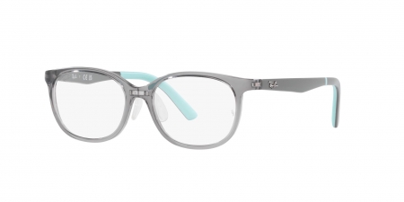 RY1614D Eyeglasses