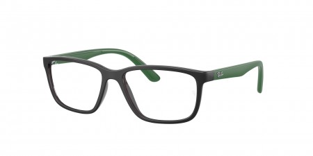 RY1618L Eyeglasses