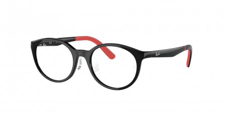 RY1625D Eyeglasses