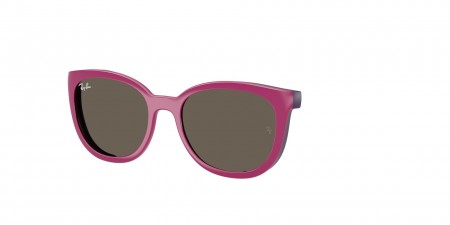 RY1631C Clip-On