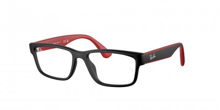 RY1634L Eyeglasses
