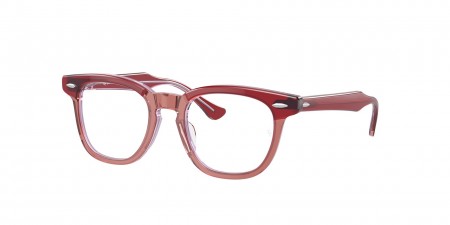 RY9098V Eyeglasses