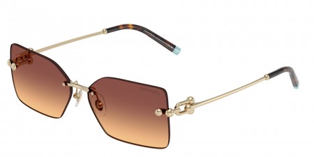 TF3088 Sunglasses