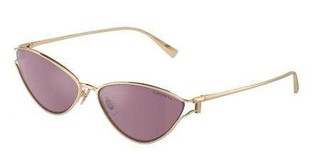 TF3095 Sunglasses
