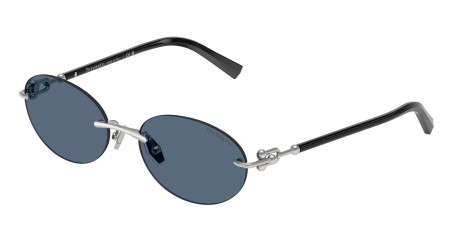 TF3104D Sunglasses