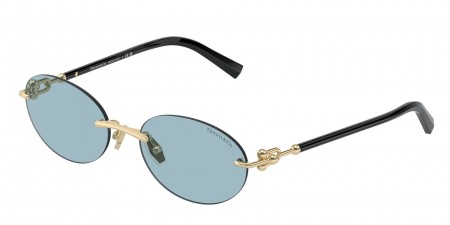 TF3104D Sunglasses