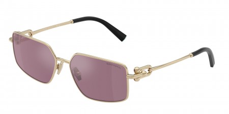 TF3111 Sunglasses