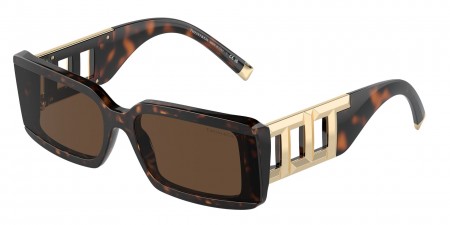 TF4197 Sunglasses