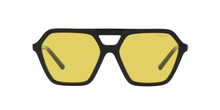 TF4198 Sunglasses