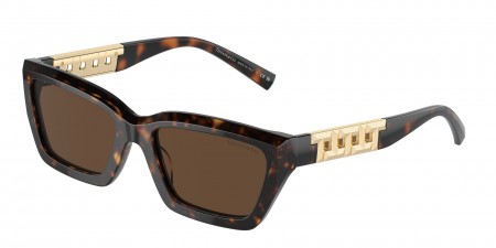 TF4213 Sunglasses
