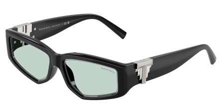 TF4234U Sunglasses
